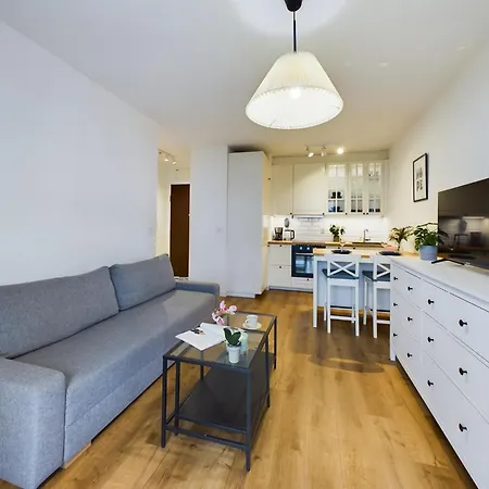 Elegancki Blisko Rzeki W Krakowie Z Biurkiem Do Pracy Zdalnej By Renters Apartmán Krakov